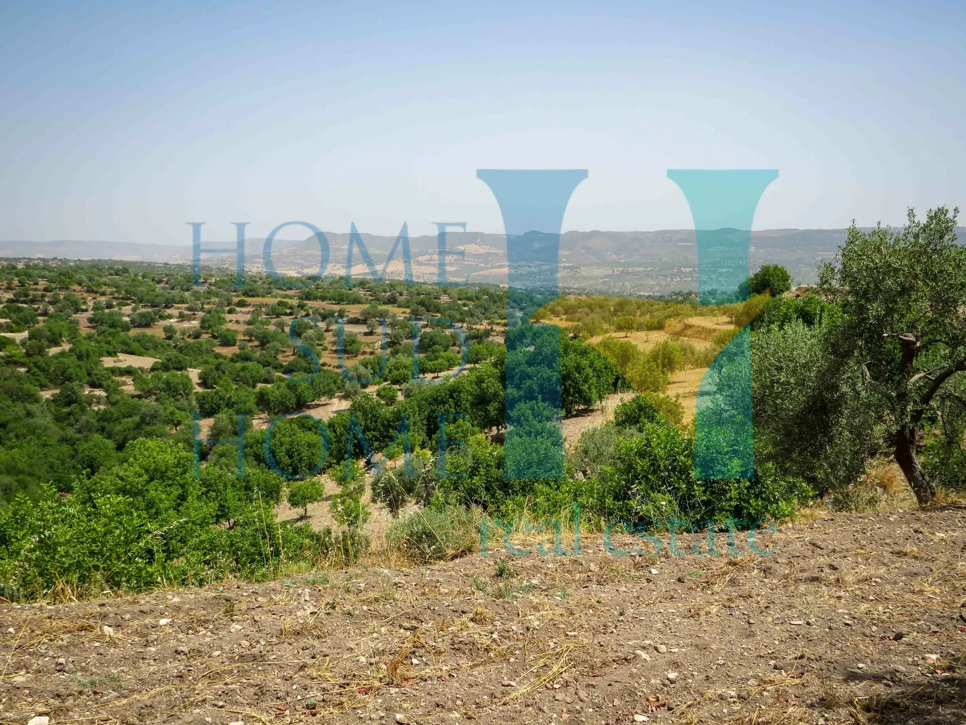 96019 Rosolini, Province of Syracuse, Italy, Rosolini, Sicily, Italy. - Photo 22