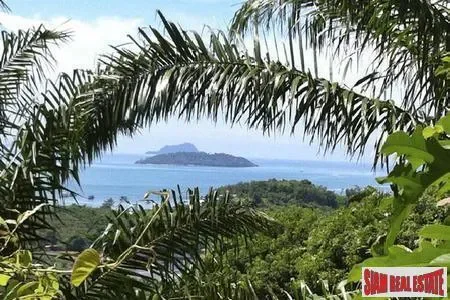 Phuket,, Pa Klok, Phuket, Thailand. - Photo 4