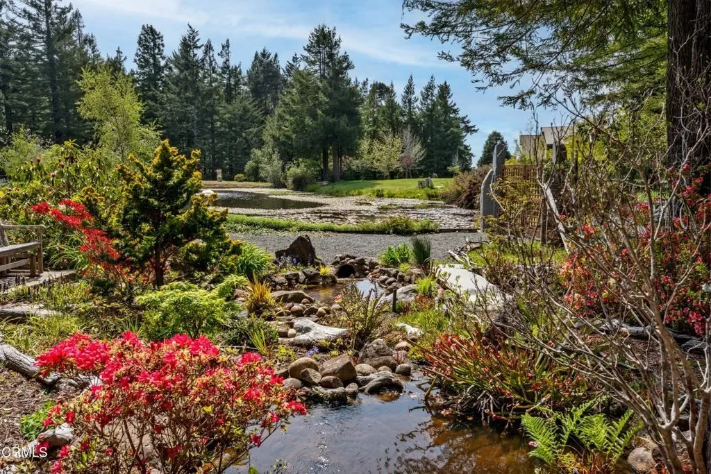40811 Eureka Hill Road, Point Arena, California, United States. - Photo 2