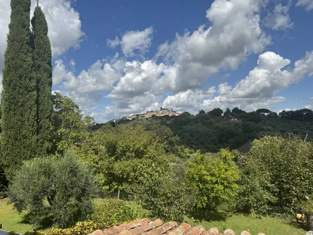 Via delle Fonti, 58014 Manciano, Italia, Manciano, Tuscany, Italy. - Photo 37