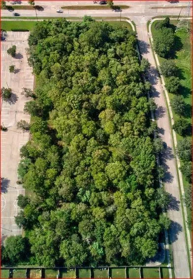 3900 Lexington Boulevard, Missouri City, Texas, United States. - Photo 3