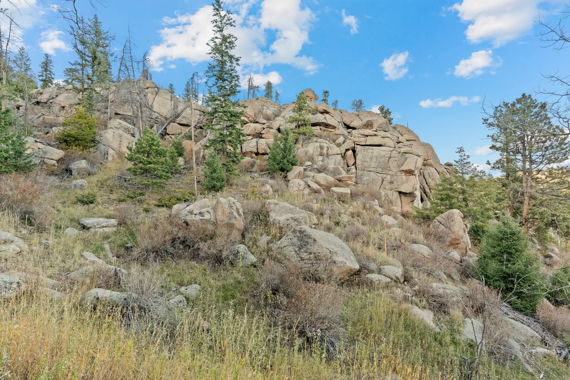 32351 Lodgepole Drive , Evergreen, CO 80439, Evergreen, Colorado, United States. - Photo 19