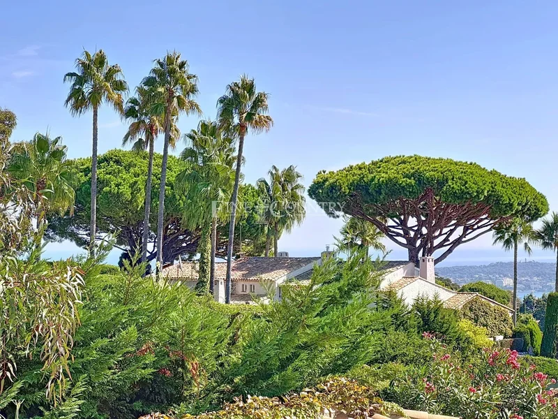 Vallauris, Provence-Alpes-Côte d'Azur, France. - Photo 12