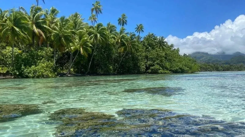 Uturoa, Leeward Islands, French Polynesia. - Photo 3