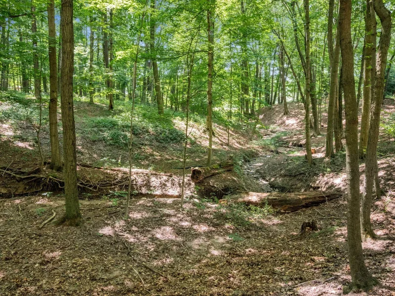 686 Co Rd 1302, Ashland, OH 44805, Ashland, Ohio, United States. - Photo 88