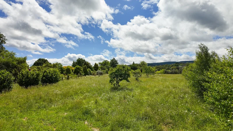 25 Cookson Road, Tikitere, Rotorua, BOP 3074, Rotorua, Bay of Plenty, New Zealand. - Photo 18