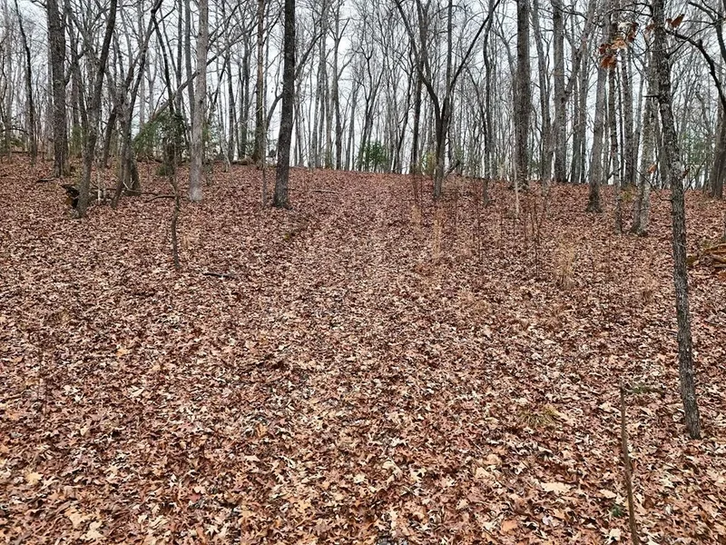 0 Dills Road, Blue Ridge, GA 30513, Blue Ridge, Georgia, United States. - Photo 14