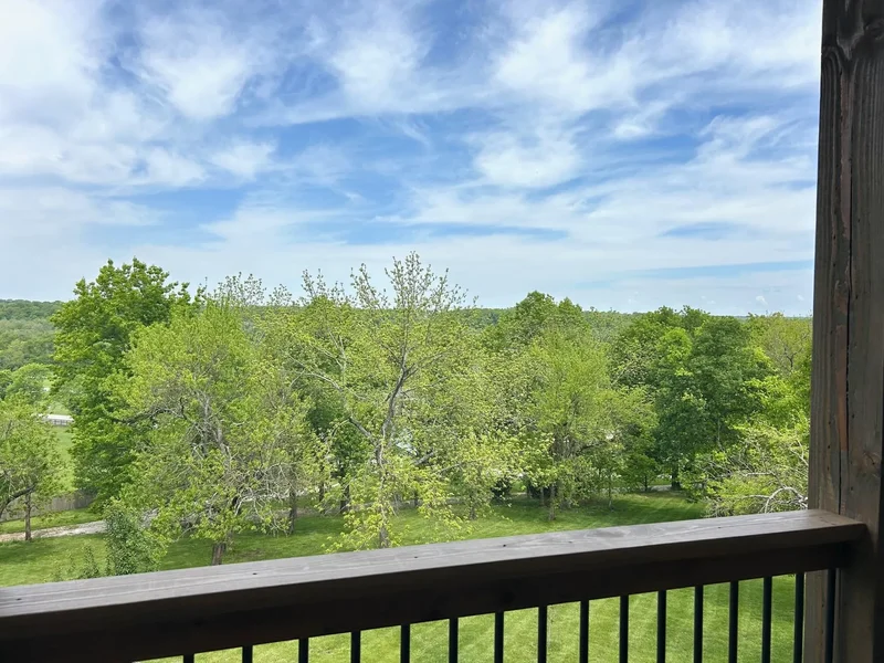2979 E Kemmling Lane, Springfield, MO 65804, Rogersville, Missouri, United States. - Photo 35