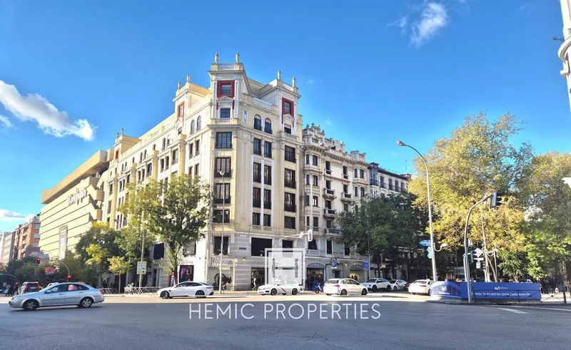 Lista, Madrid, MADRID, Madrid, Barrio Salamanca, Madrid, Spain. - Photo 16