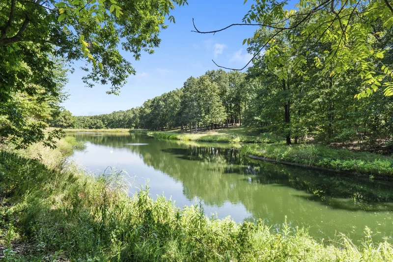 5035 Stonegate Court, Springfield, MO 65809, Springfield, Missouri, United States. - Photo 70