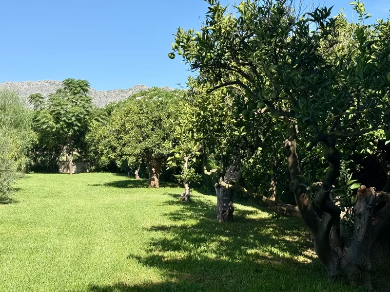 Denia, Alicante, Denia, Denia, Valencian Community, Spain. - Photo 21