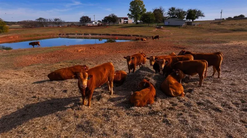 180000 N 2600 Road, Walters, OK 73572, Walters, Oklahoma, United States. - Photo 19
