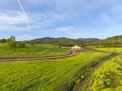 Thumbnail 21