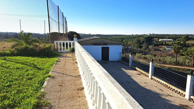 Sevilla, Mairena del Alcor, SEVILLA, Mairena del Alcor, Mairena del Alcor, Andalusia, Spain. - Photo 53