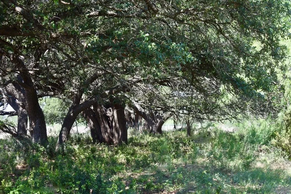 8228 US HWY 377, Rochelle, Texas, United States. - Photo 29