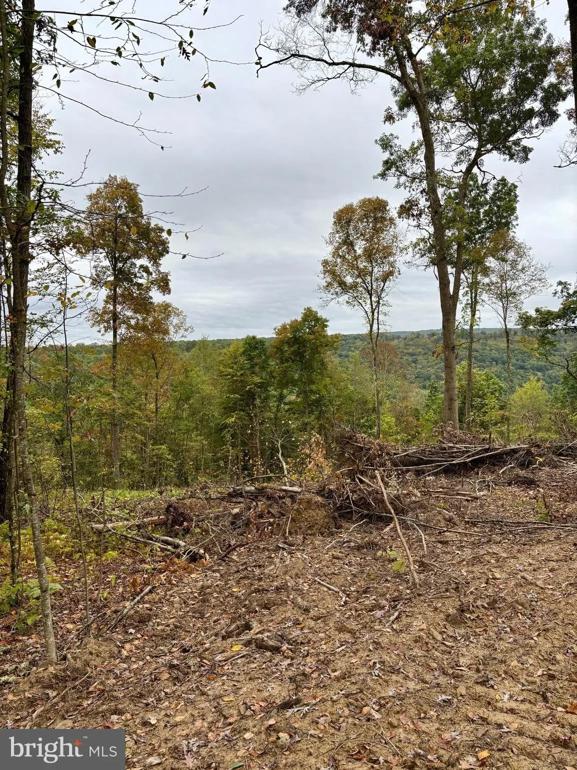 31-36 BEECH CREEK MOUNTAIN RD ROAD, BEECH CREEK, PA 16822, Beech Creek, Pennsylvania, United States. - Photo 19