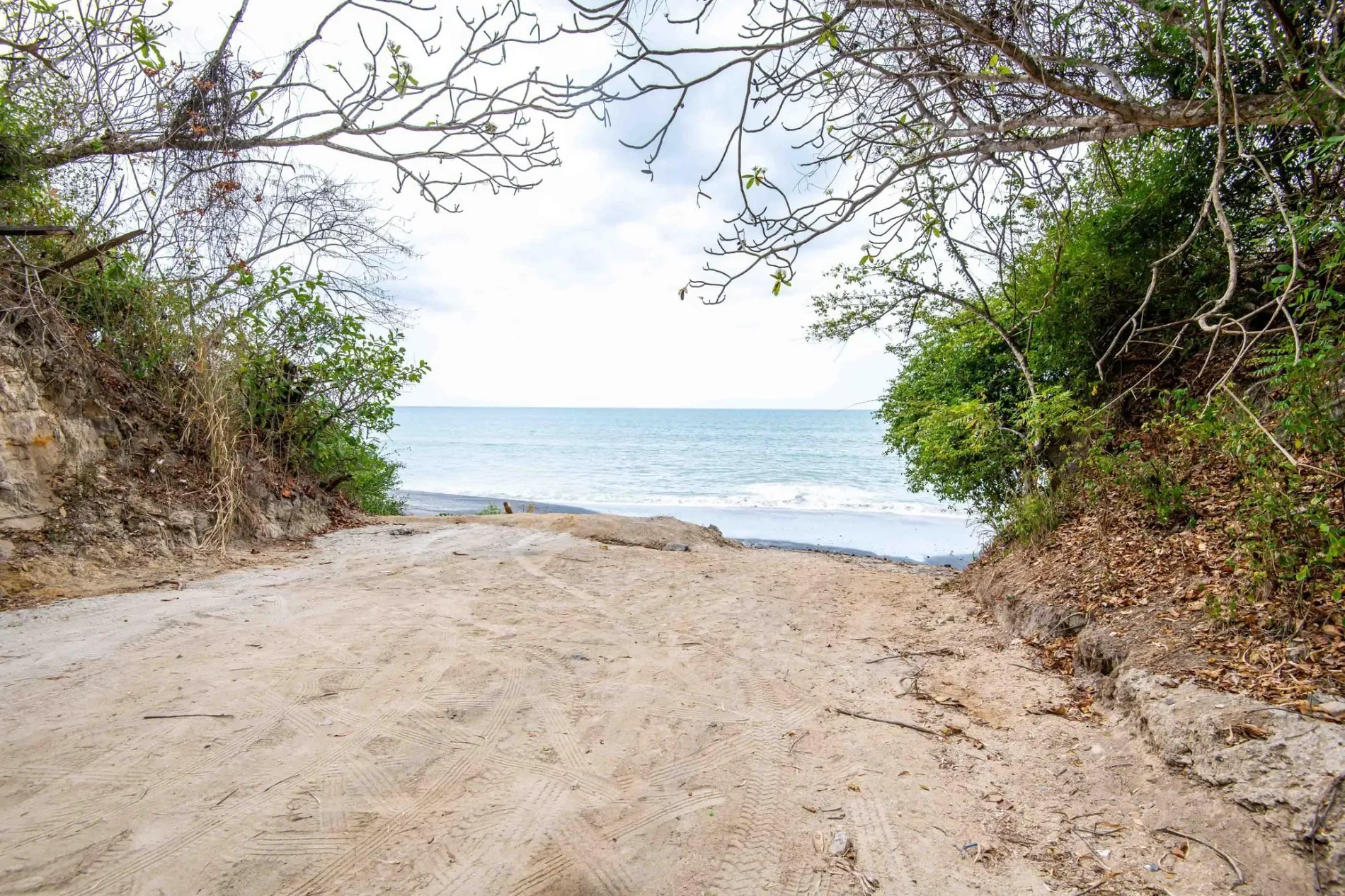 Las Uvas, Panama, Panama. - Photo 3