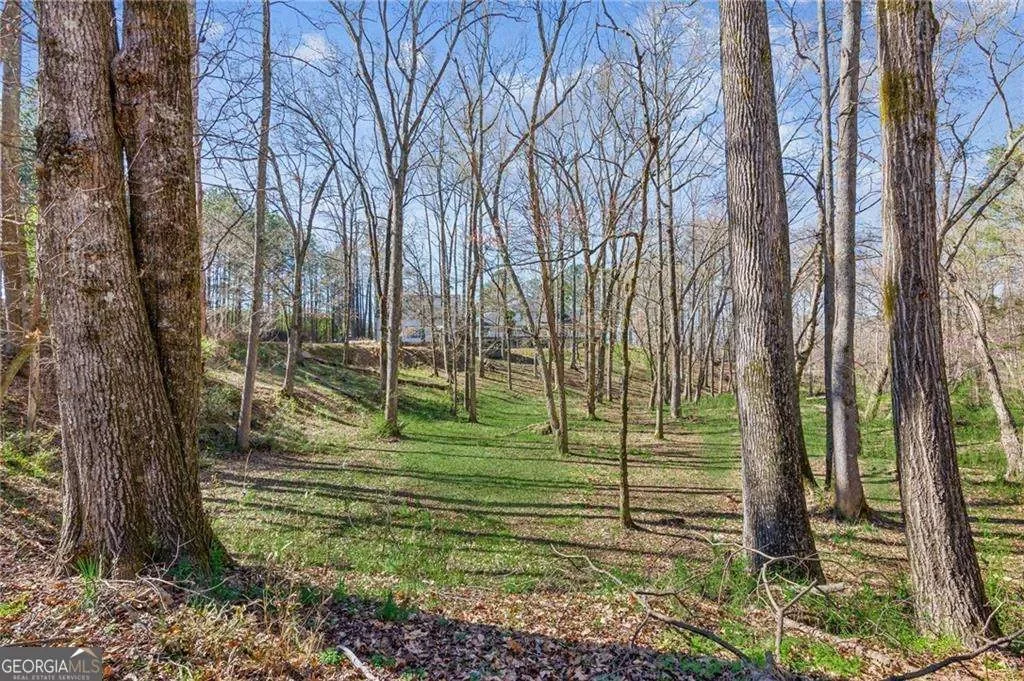 Covington, Georgia, United States. - Photo 56