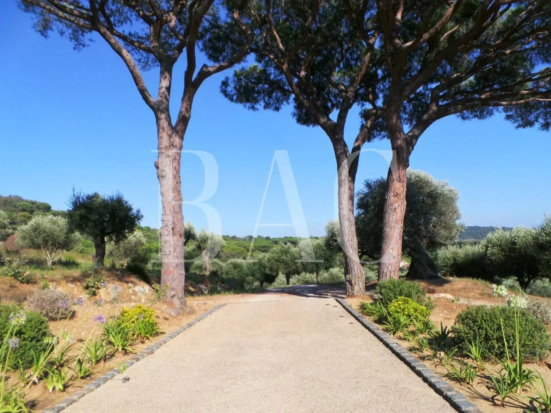 Ramatuelle, Provence-Alpes-Côte d'Azur, France. - Photo 6