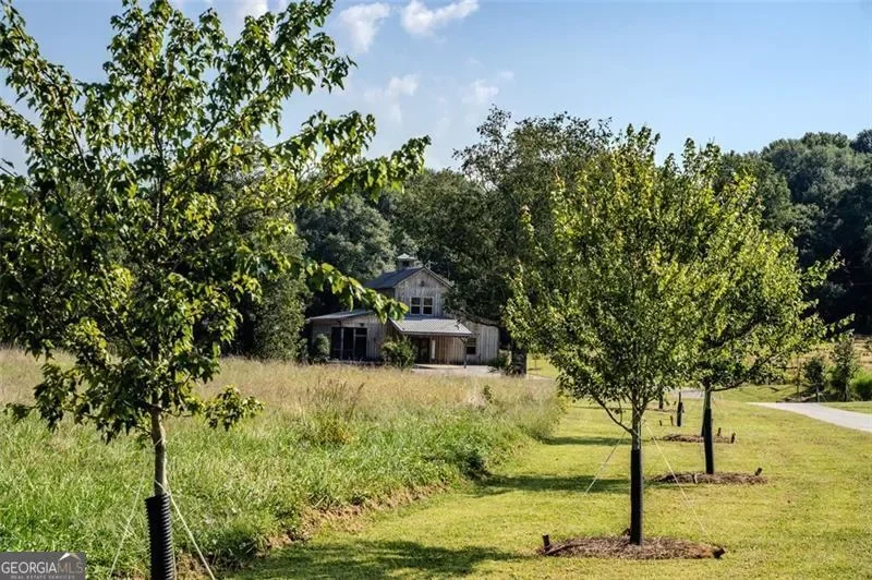 Madison, Georgia, United States. - Photo 27