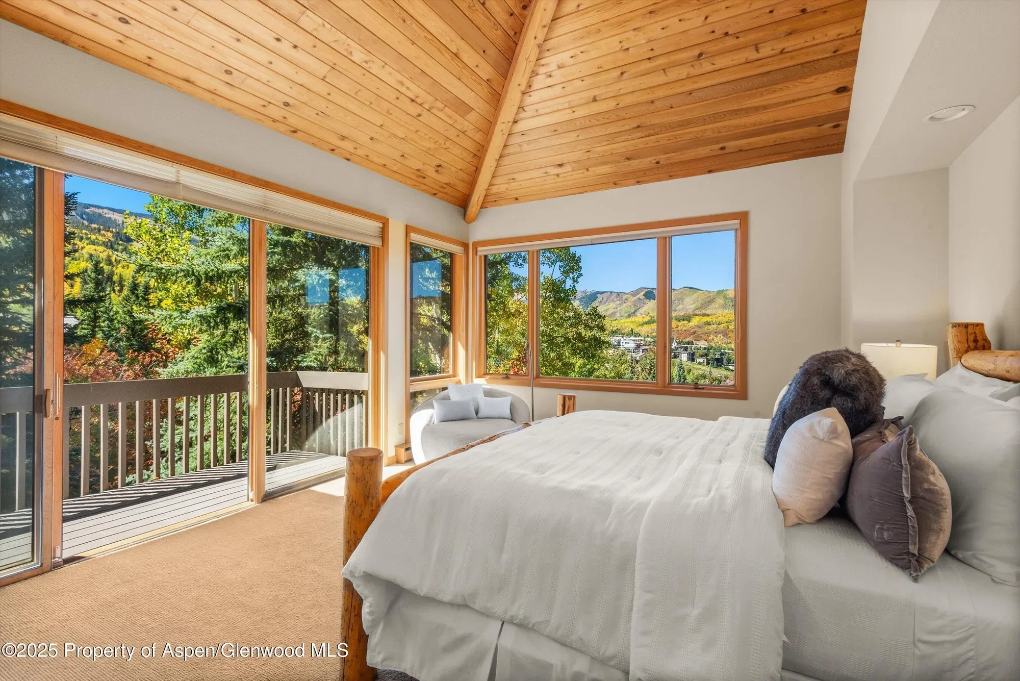 259 Deer Ridge Lane, Snowmass Village, CO, United States. - Photo 30