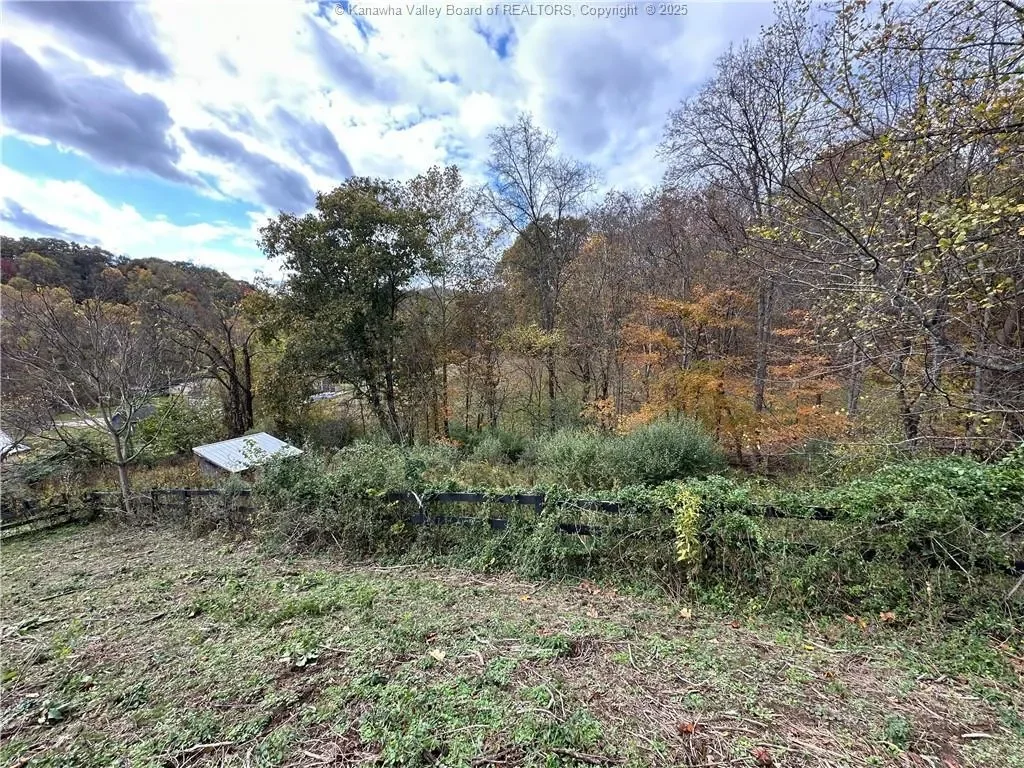 365 Astor Lane, Point Pleasant, WV 25550, Point Pleasant, West Virginia, United States. - Photo 17
