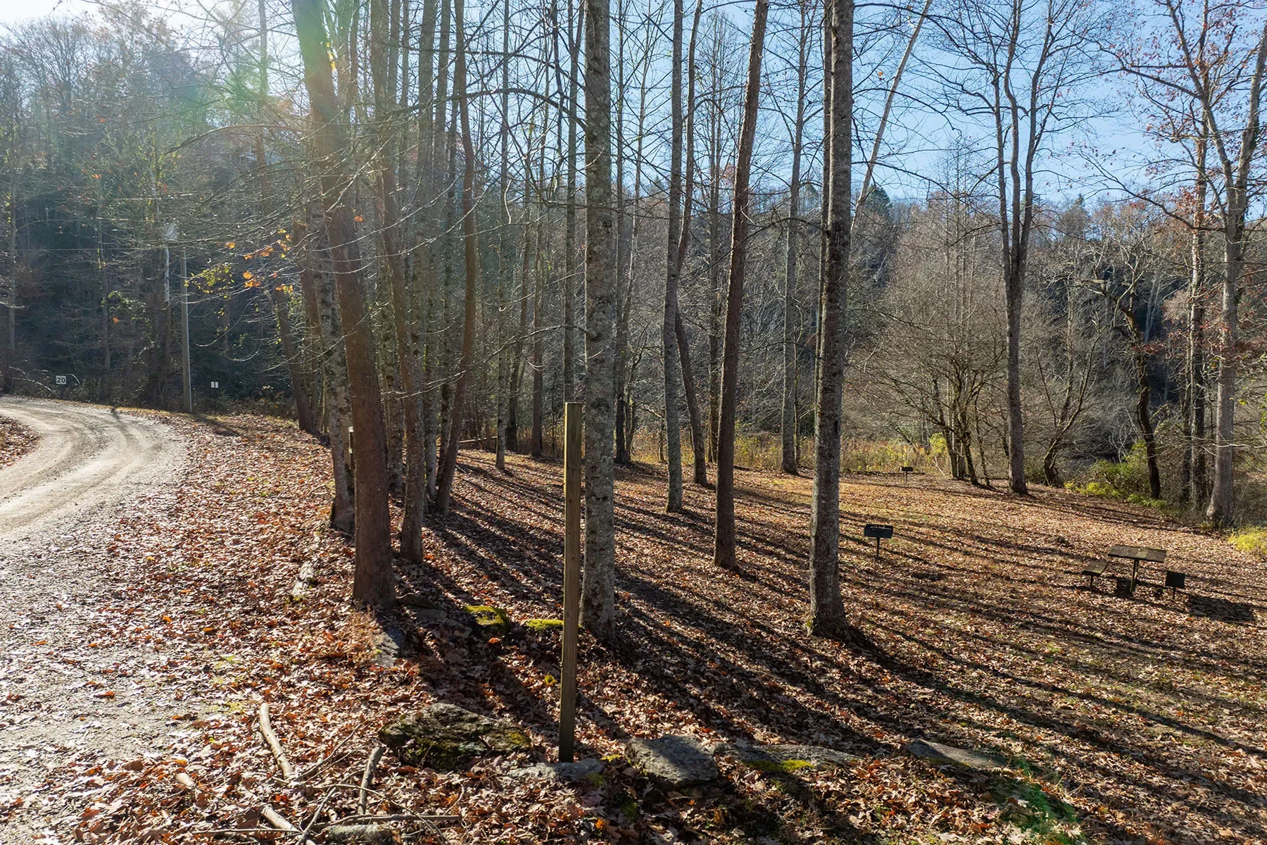 85 Brown Lane, Marble, NC 28905, Marble, North Carolina, United States. - Photo 10