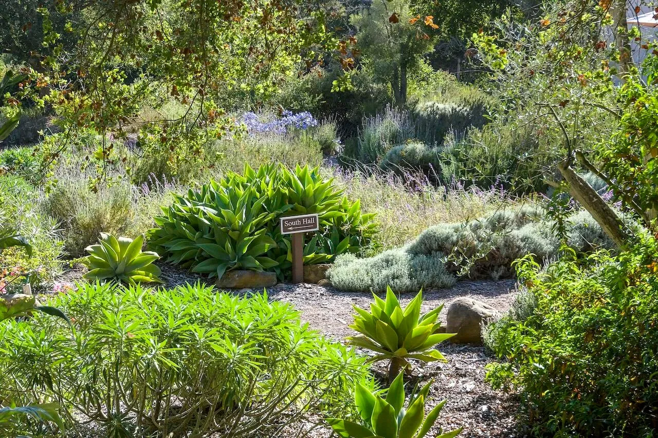 249 Lambert Road, CARPINTERIA, CA, 93013, USA, Carpinteria, California, United States. - Photo 30