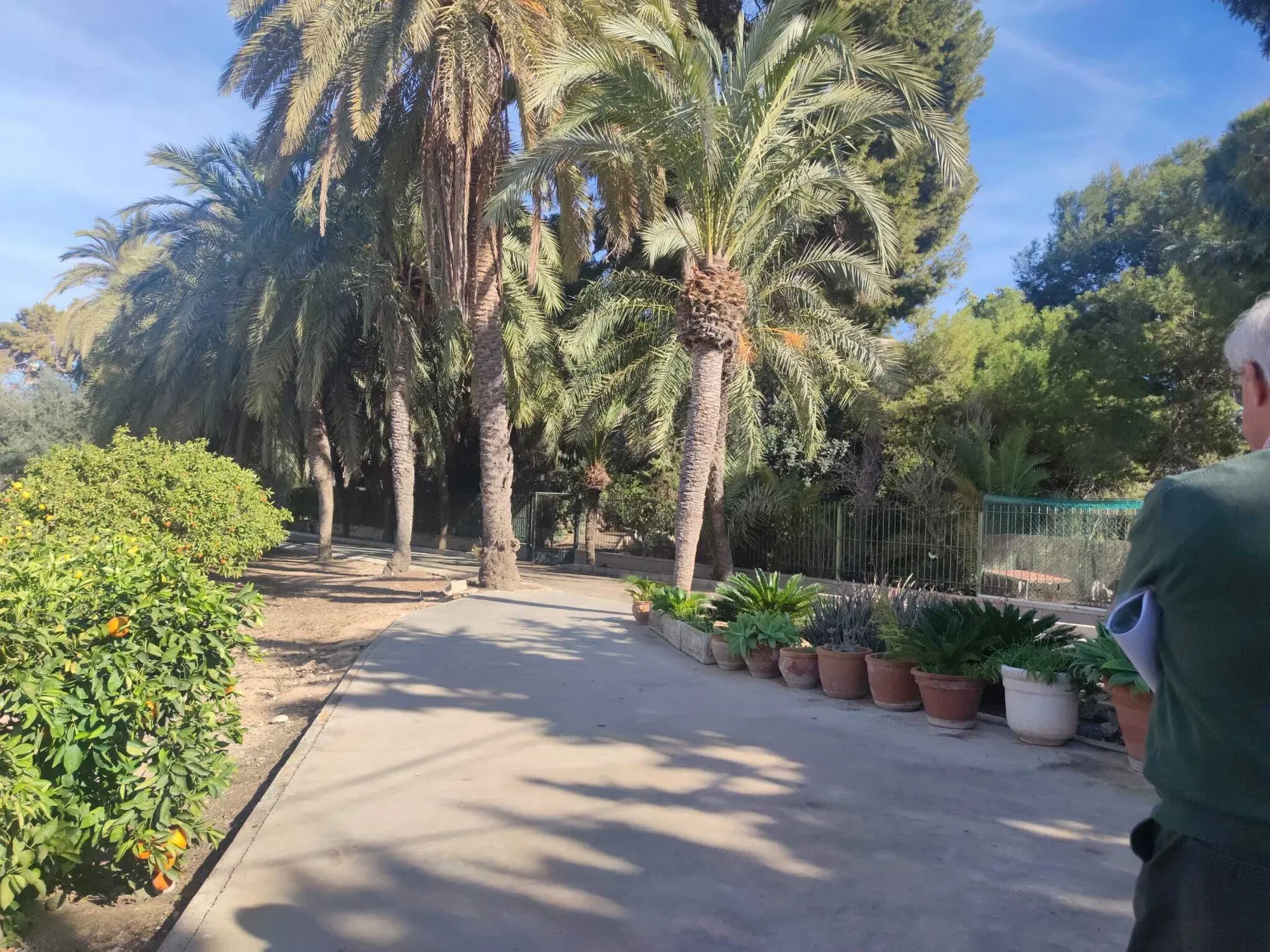 30740 San Pedro del Pinatar, Murcia, Spain, San Pedro del Pinatar, Region of Murcia, Spain. - Photo 41