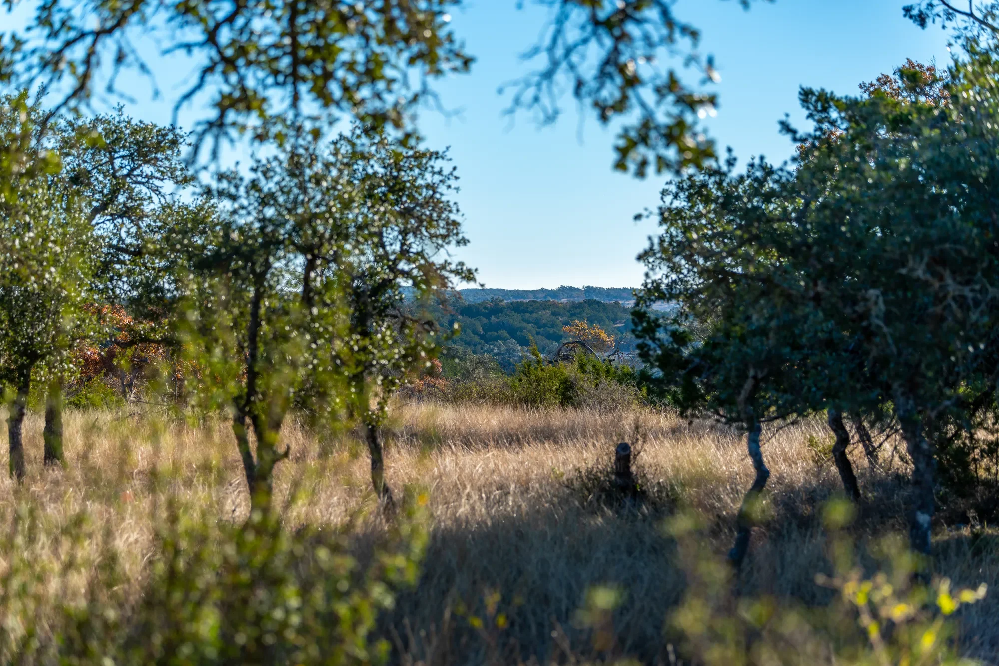196 Hermit Hill Road , Fredericksburg, TX 78624, Fredericksburg, Texas, United States. - Photo 31
