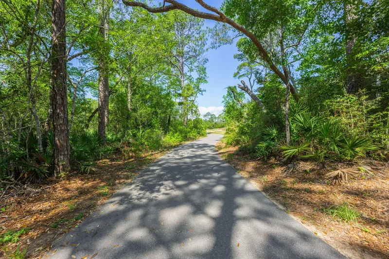 Niceville, Florida, United States. - Photo 54