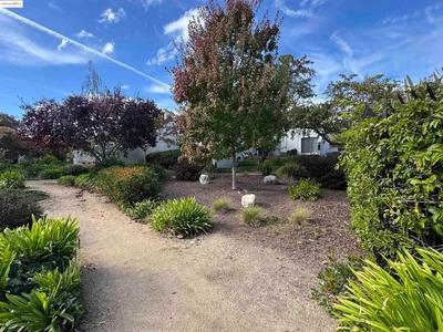 Thumbnail 16