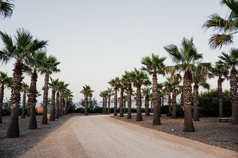 Fully landscaped terracotta plot of 21.000 m2 facing the sea with a direct access to the sea. Unique
