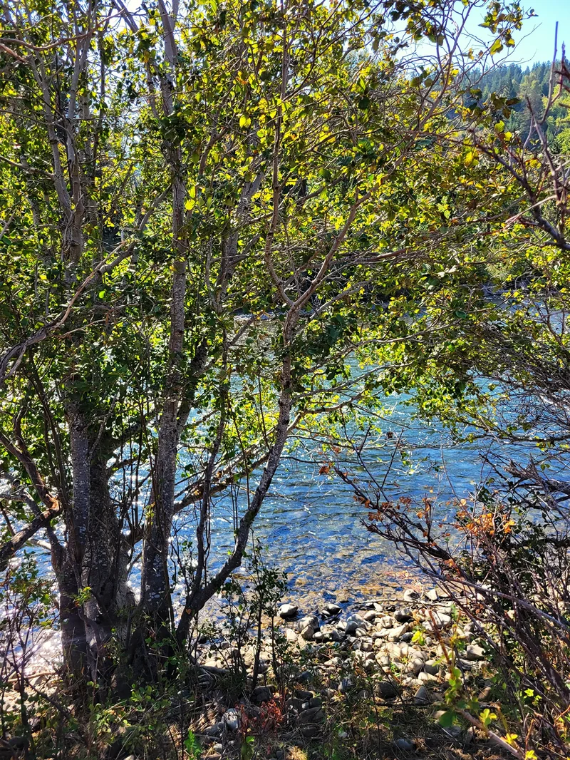 52 Highway 10, Cle Elum, WA 98922, Cle Elum, Washington, United States. - Photo 12
