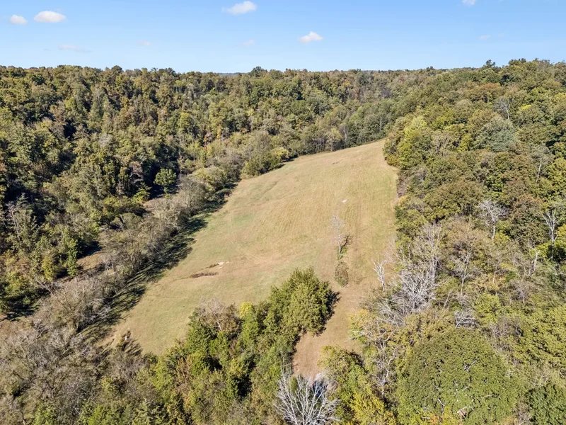 2846 Fuller Hollow Rd , Cornersville, TN 37047, Cornersville, Tennessee, United States. - Photo 73