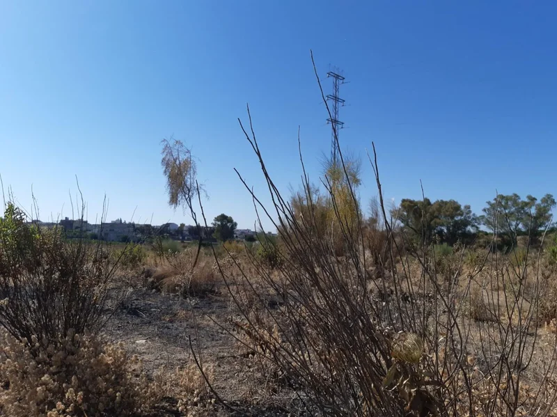 Burguillos De Sevilla Urban Plot