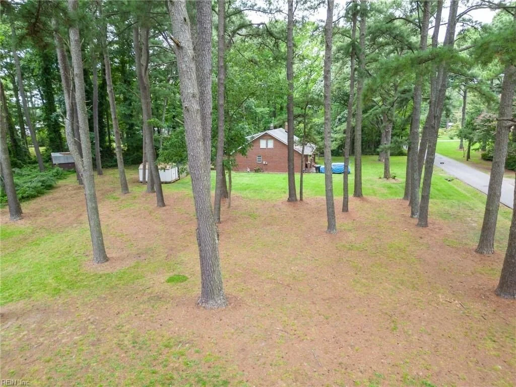 Gallery photo 6