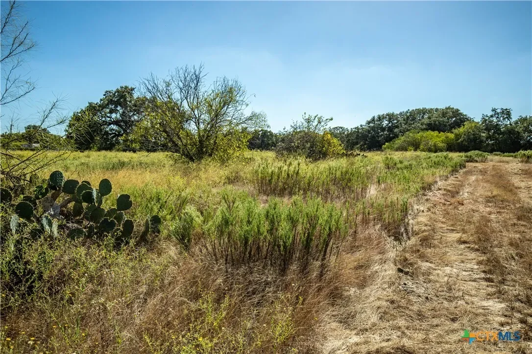 21123 Lamm Road, Elmendorf, TX 78112, Elmendorf, Texas, United States. - Photo 16