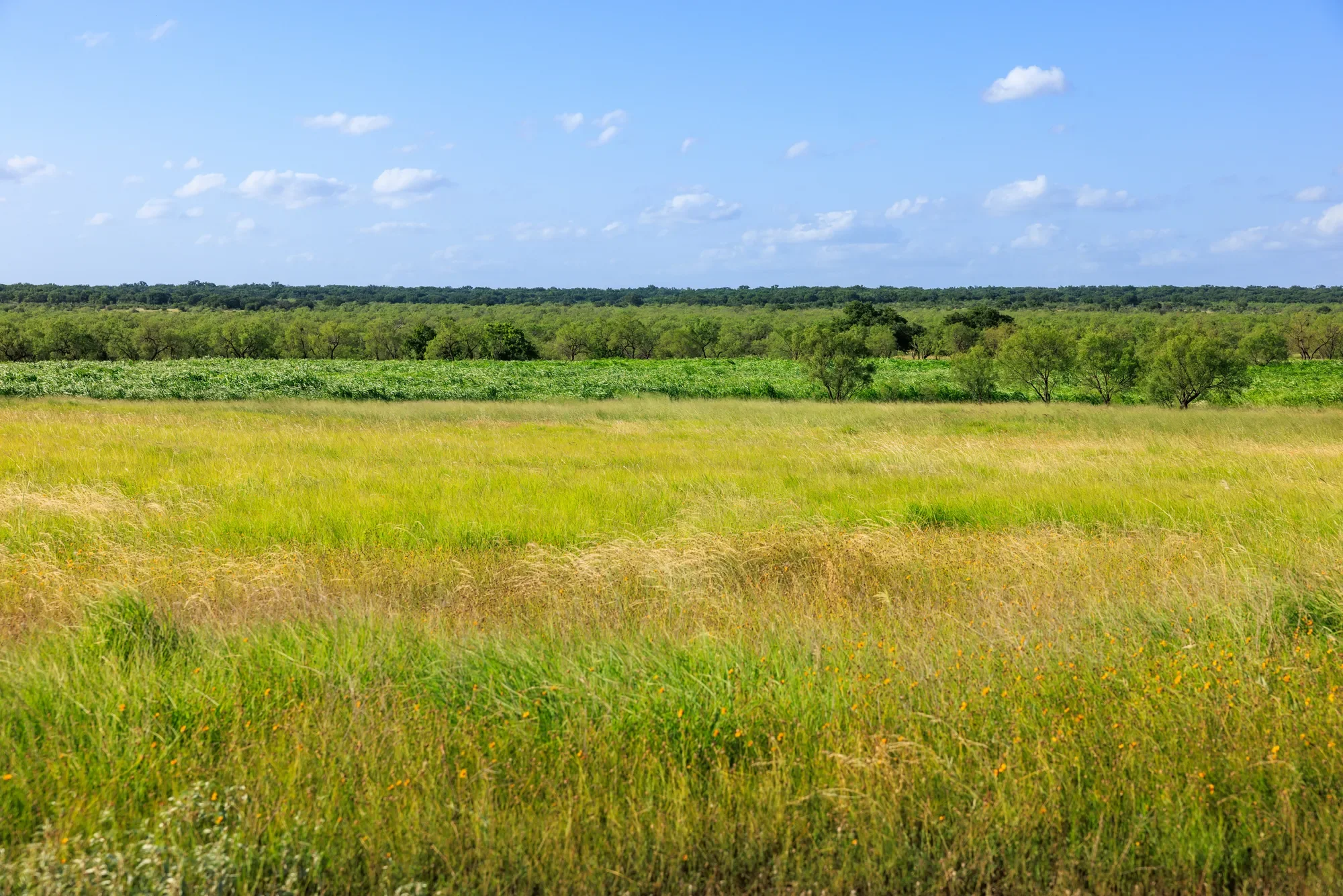 Brady Creek Ranch CR 3388, Melvin, TX 76858, Melvin, Texas, United States. - Photo 33