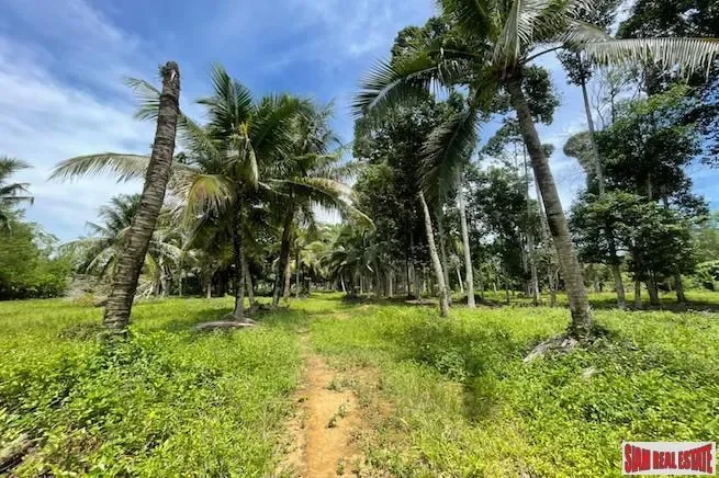 Phuket,, Pa Klok, Phuket, Thailand. - Photo 1