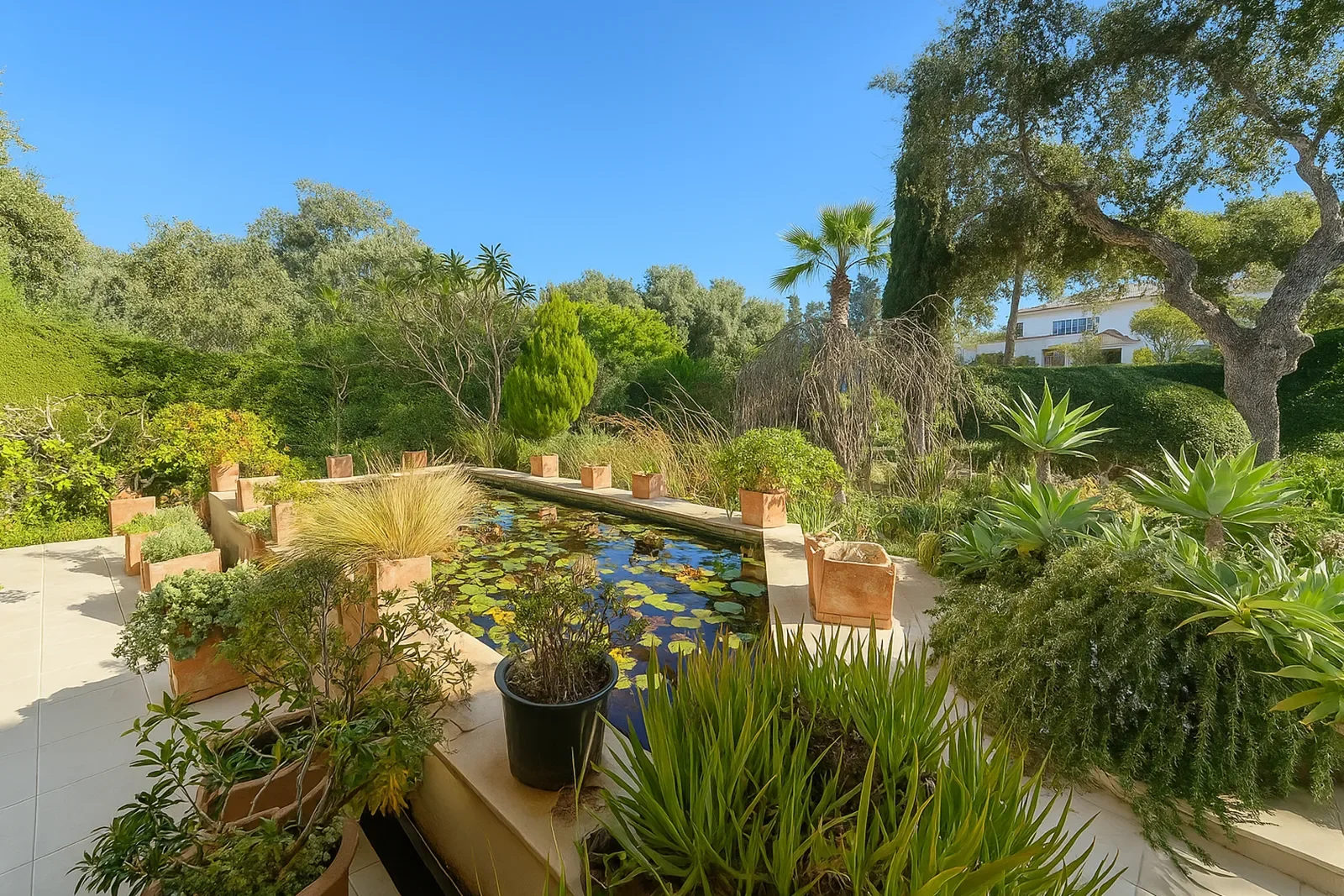 11310, Cádiz, Spain, Sotogrande, San Roque, Andalusia. - Photo 6