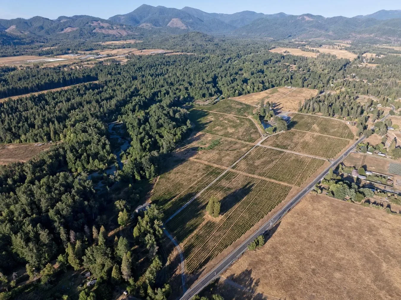 3900 Holland Loop Road, Cave Junction, Oregon, United States. - Photo 4