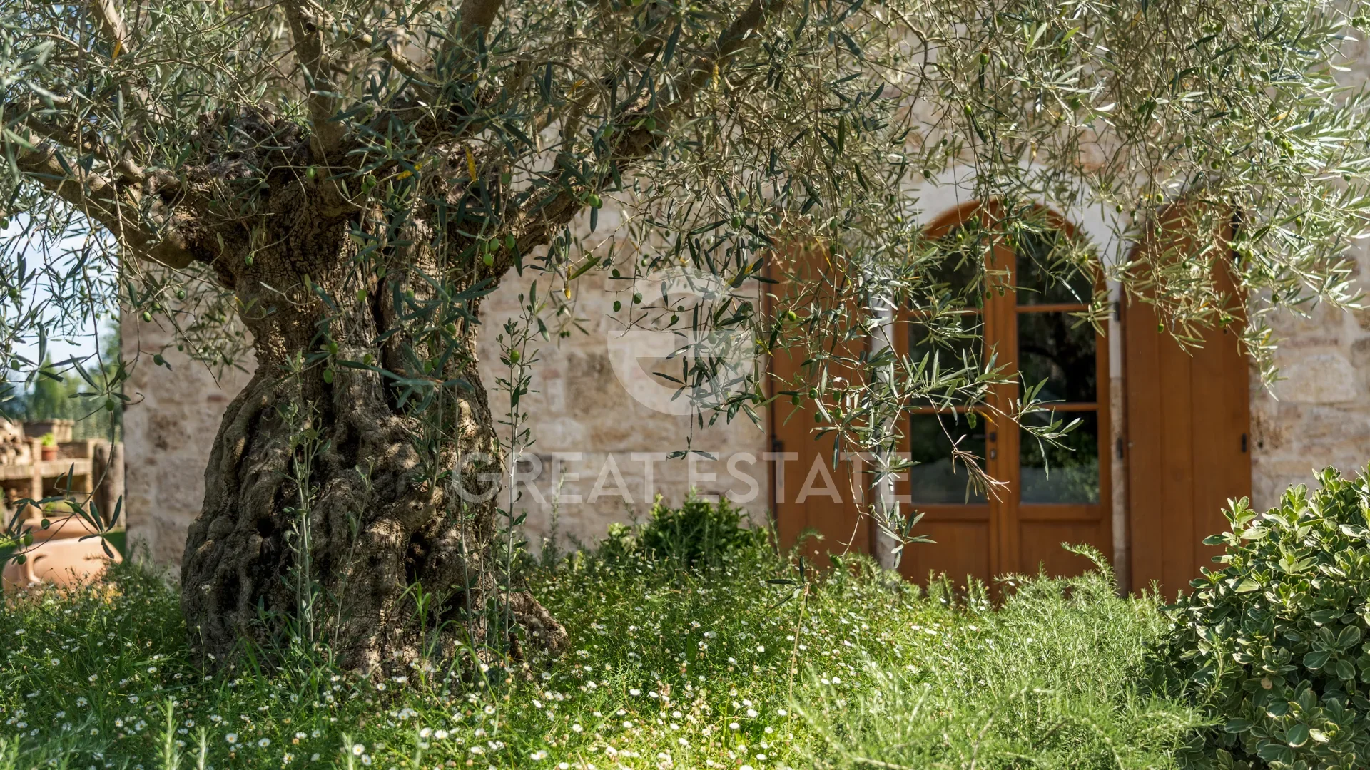 Tuscany, Cetona, Tuscany, Italy. - Photo 25