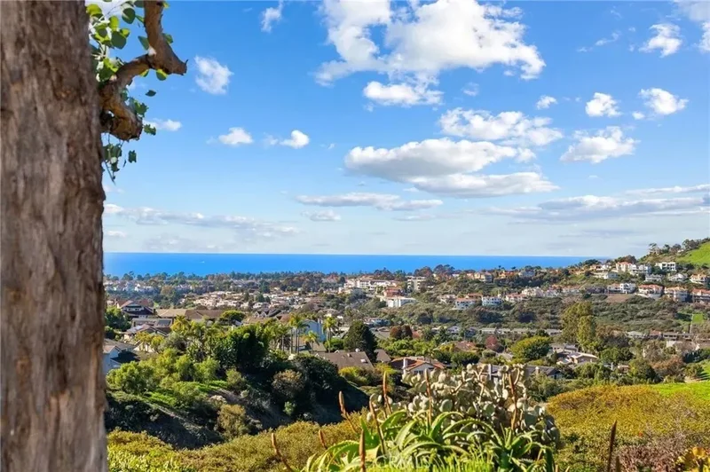 2880 Calle Guadalajara, San Clemente, California, United States. - Photo 36