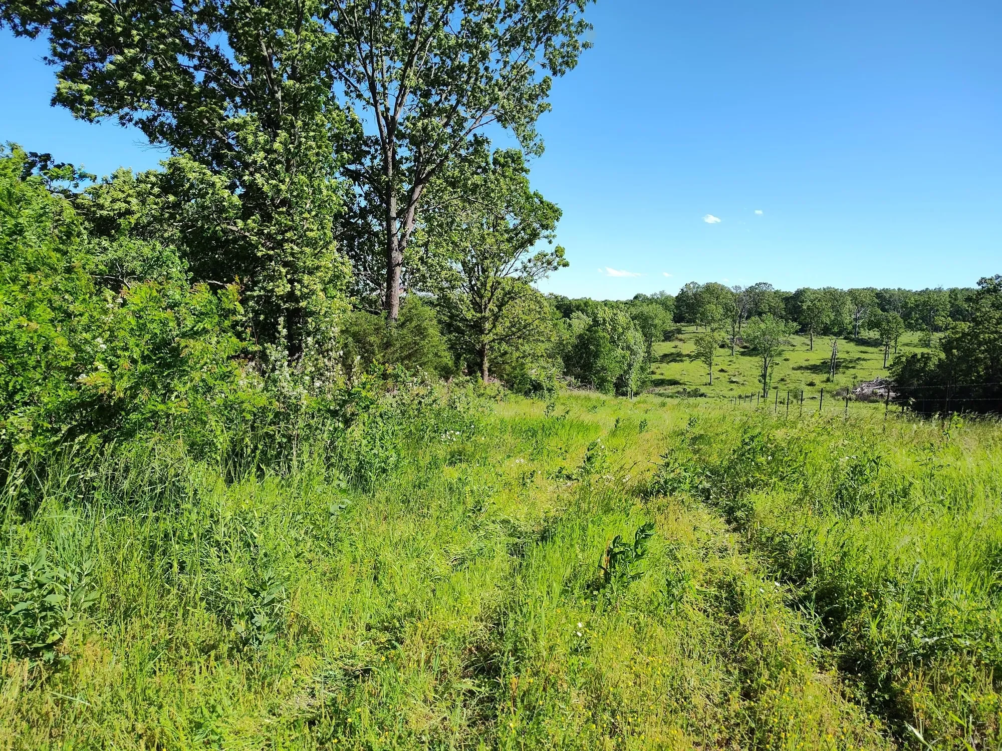 1898 E 332nd Road, Polk, MO 65727, Bolivar, Missouri, United States. - Photo 100
