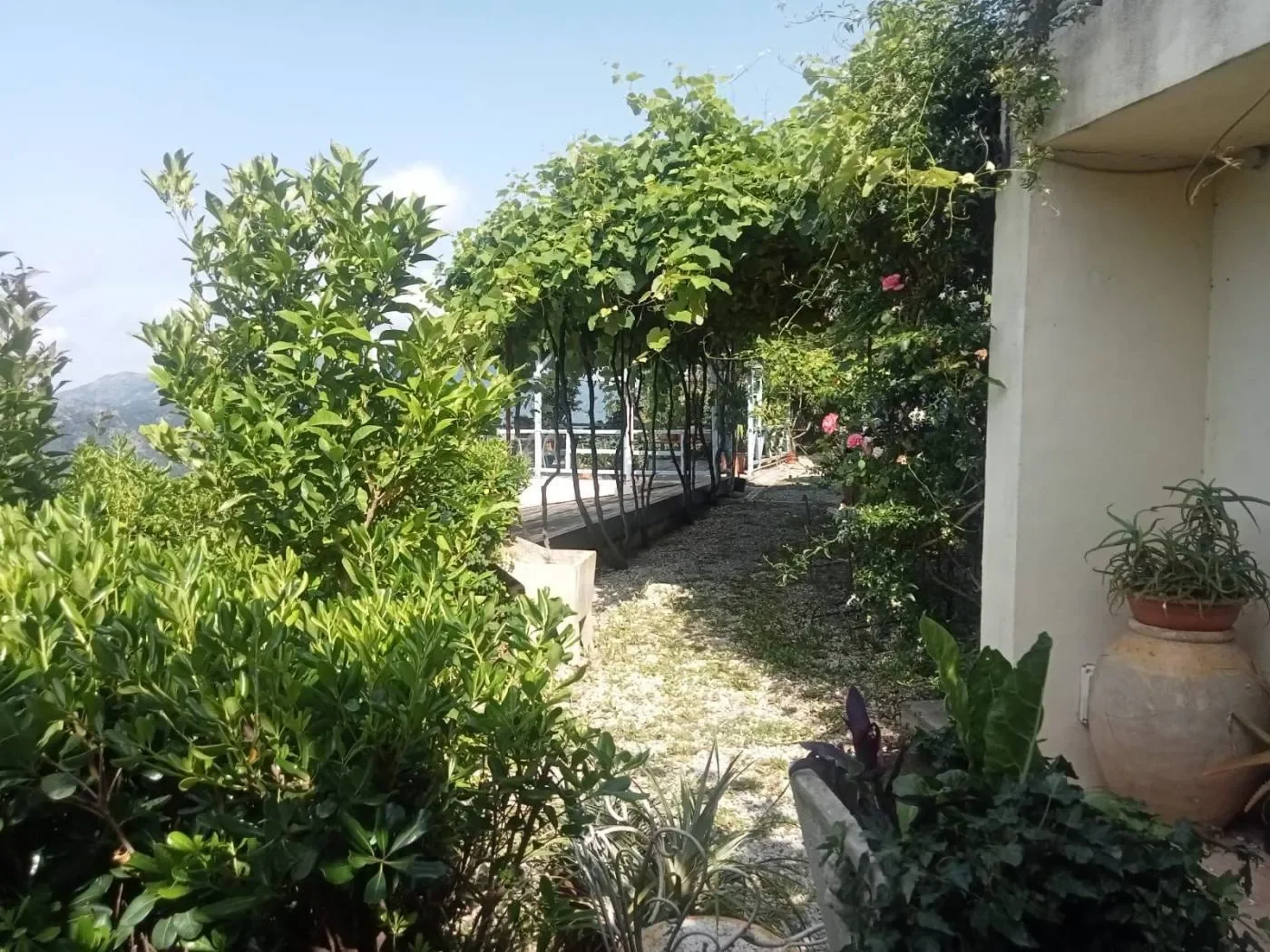 Exterior photo 5