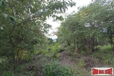Surat Thani,, Surat Thani, Surat Thani, Thailand. - Photo 8