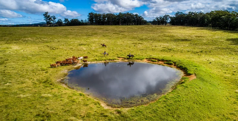 224 Wallaroo Range Rd, Willsons Downfall NSW 2372, Australia, Willsons Downfall, New South Wales, Australia. - Photo 23