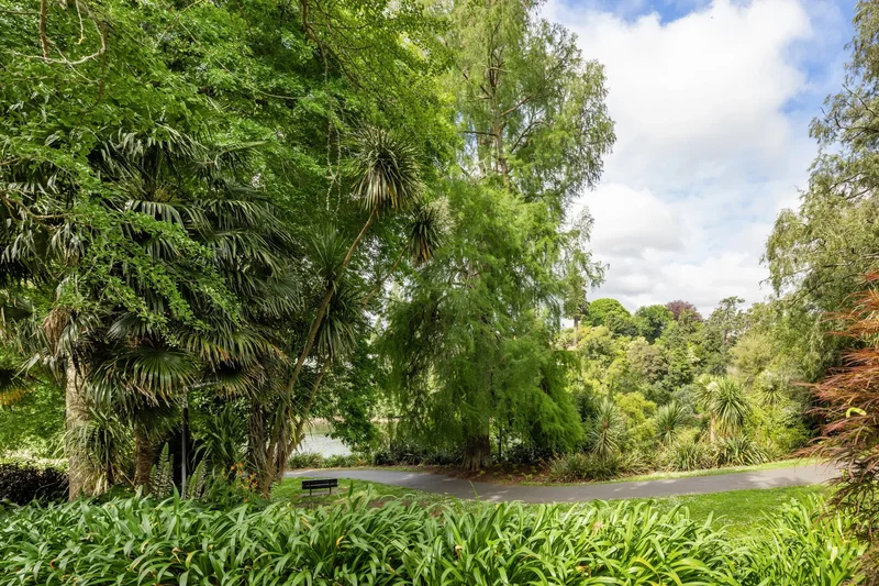 1A Hamilton Parade, Hamilton, WKO 3204, Hamilton, Waikato, New Zealand. - Photo 16