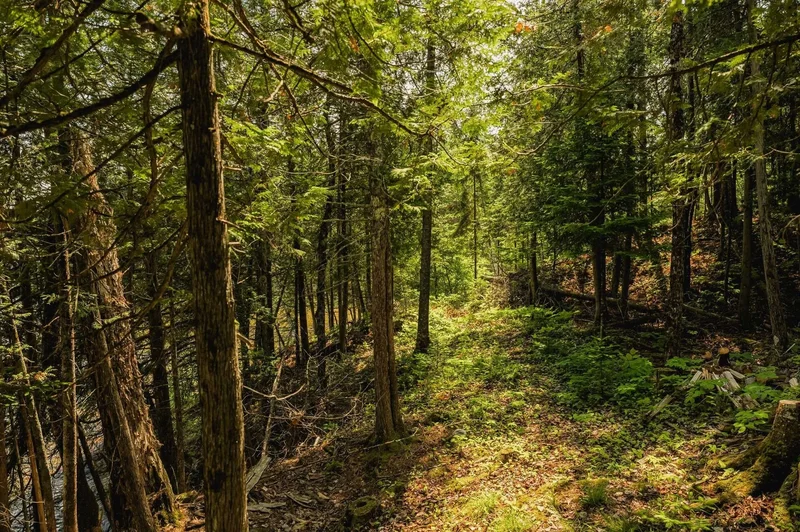 Lac-des-Plages, QC, J0T1K0, CANADA, Lac-des-Plages, Quebec, Canada. - Photo 68